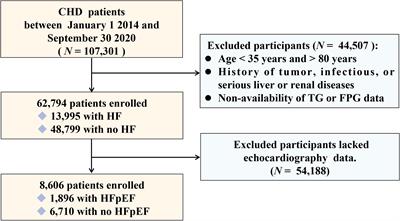 Triglyceride-glucose index is associated with heart failure with preserved ejection fraction in different metabolic states in patients with coronary heart disease